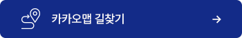 카카오맵 길찾기